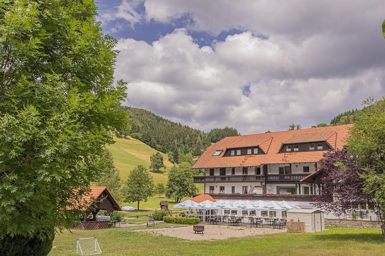 Cover Image for Wellnesshotel Landmann