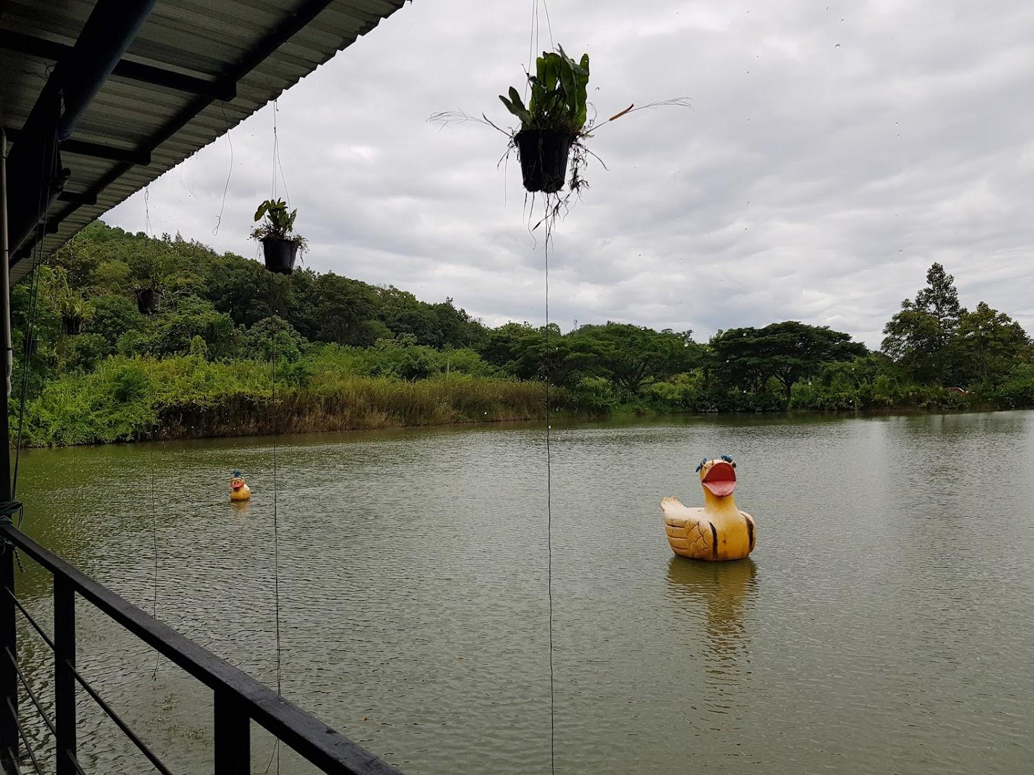 Cover Image for เรือนแพ Yellowduck