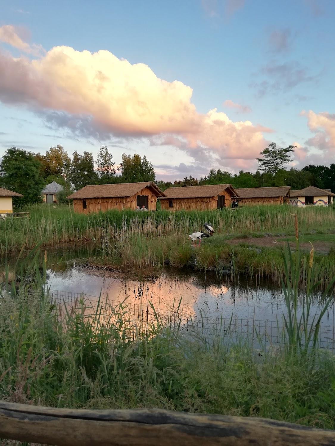 Cover Image for Masai Mara lodges