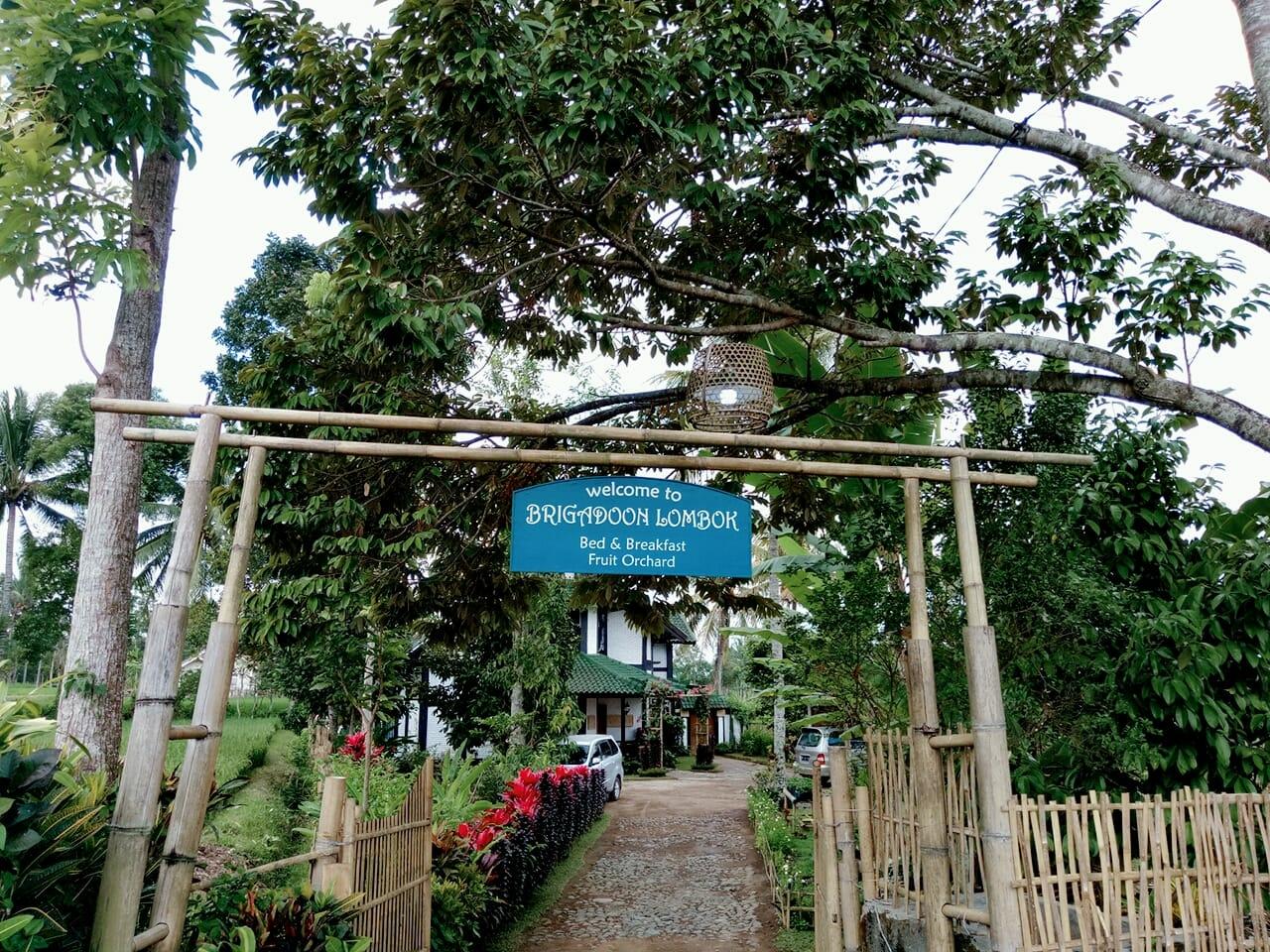 Cover Image for Brigadoon B&B Lombok