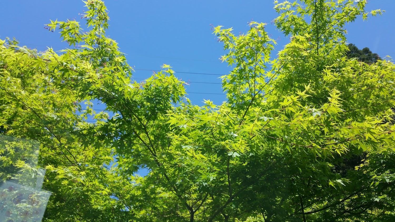 Cover Image for Hidamarinosato Auto Camping Ground