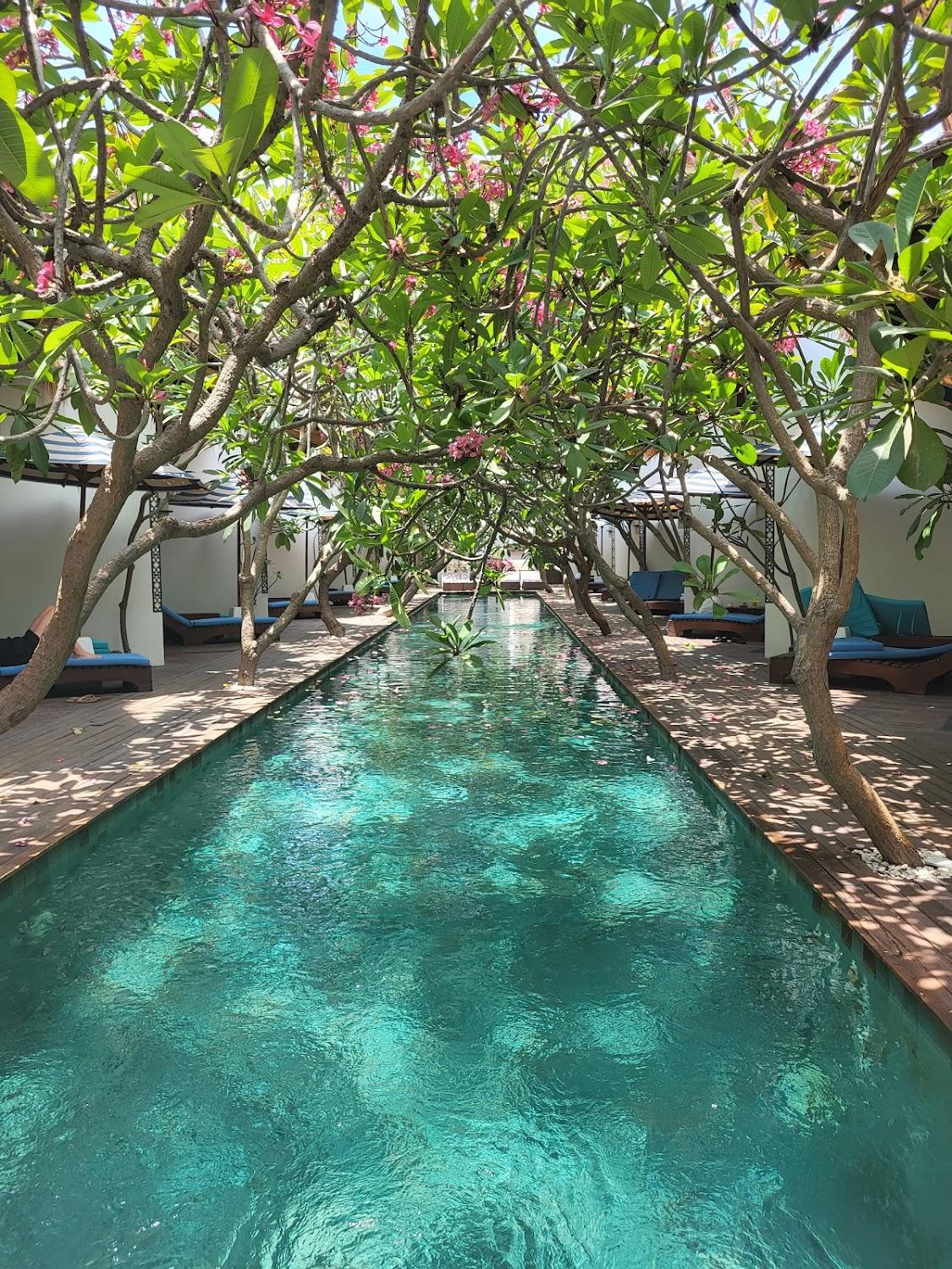 Cover Image for Jali Resort