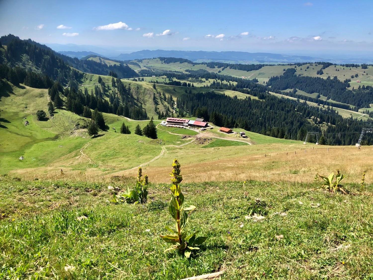 Cover Image for Falkenhütte