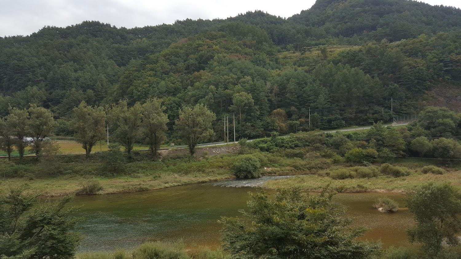 Cover Image for 새치펜션