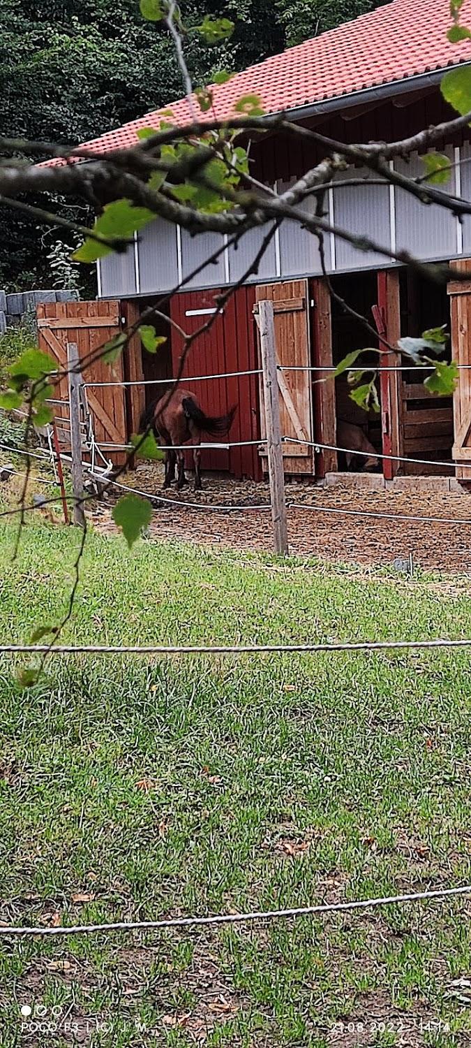 Cover Image for Lucky-Stable-Ranch
