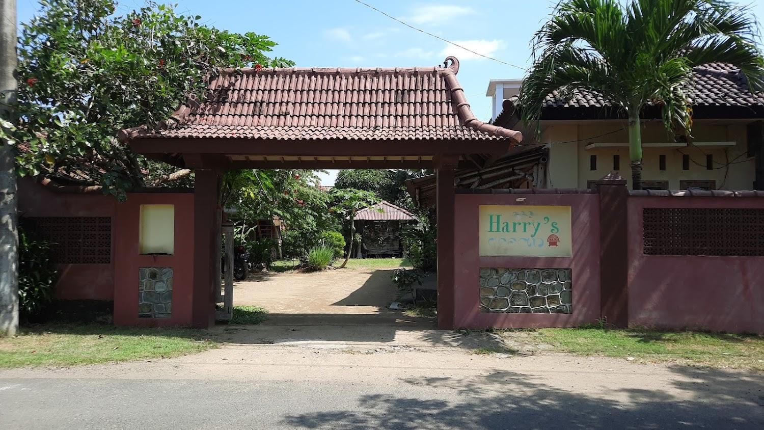 Cover Image for Harry's Ocean House