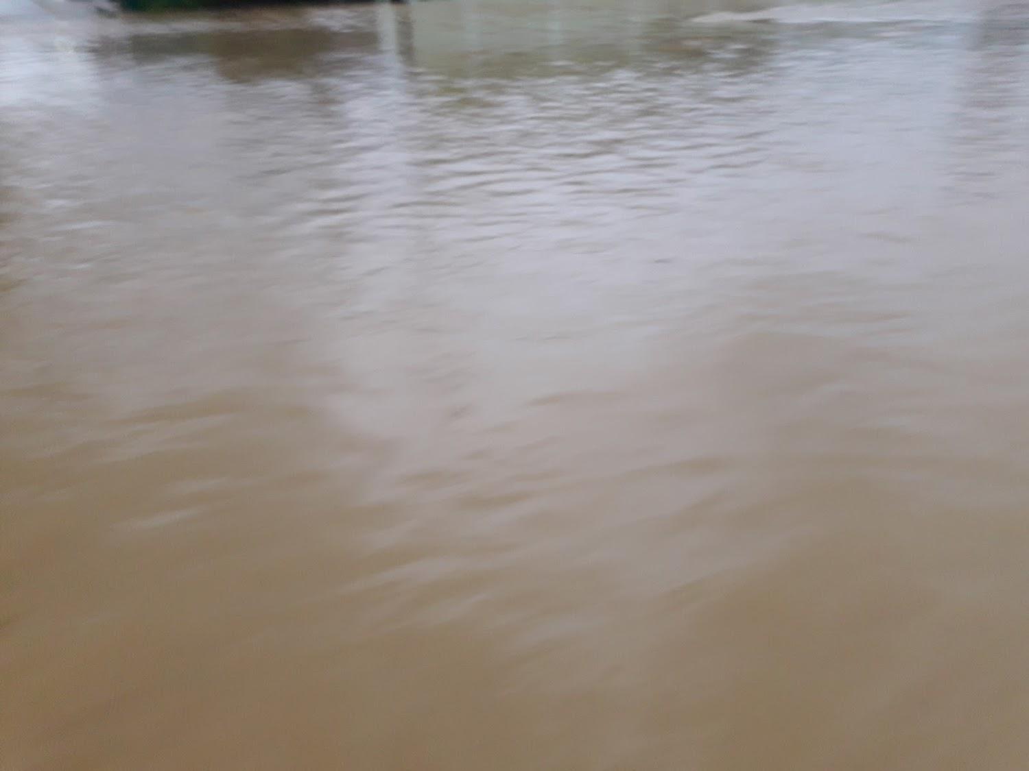 Cover Image for โรงแรมพิมาน