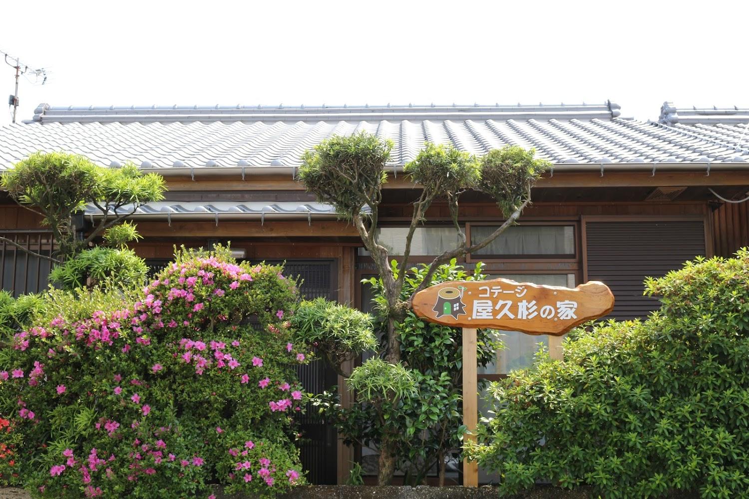 Cover Image for Cottage Yakusugi House