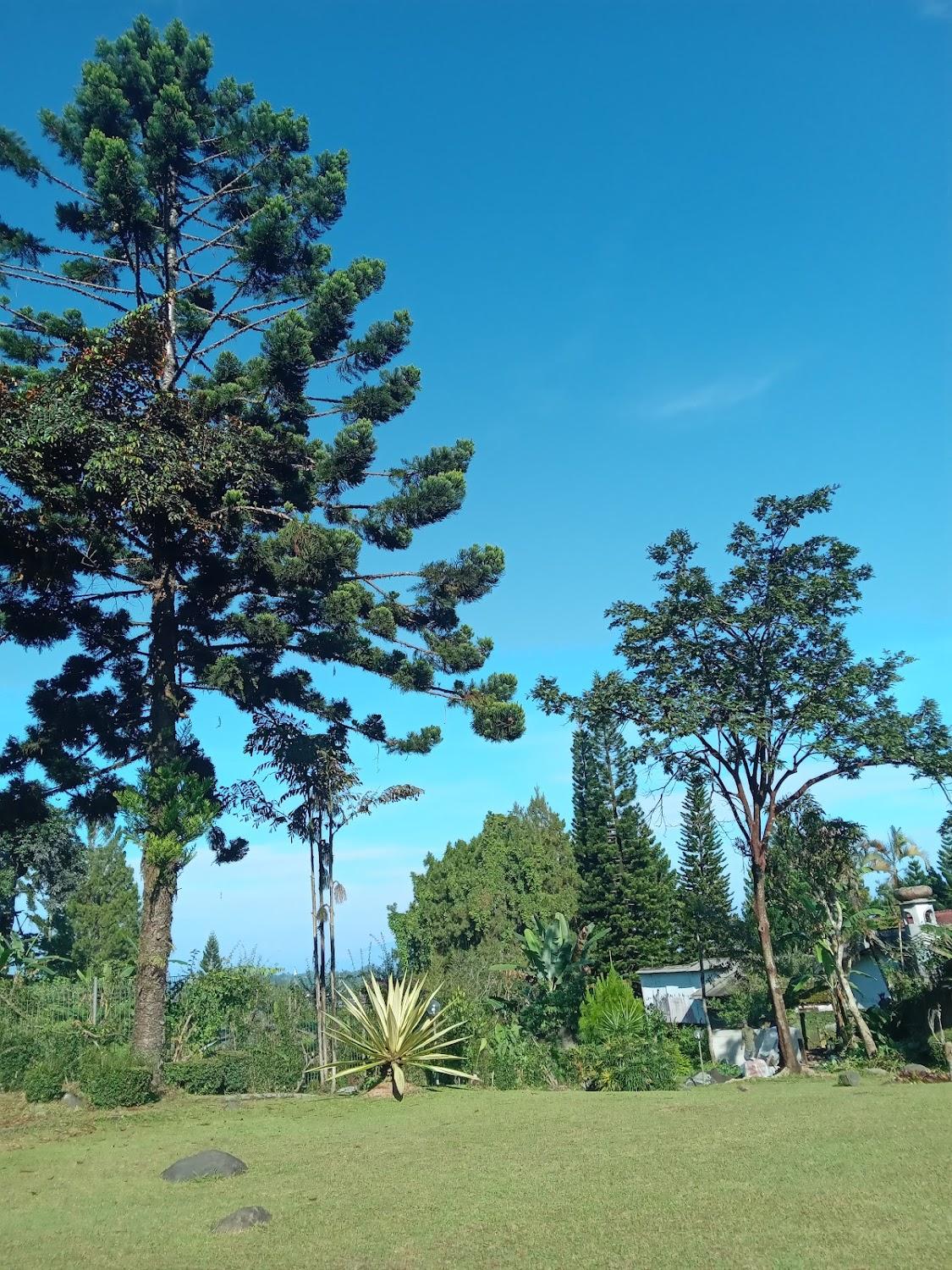 Cover Image for Puncak Riverside Villas