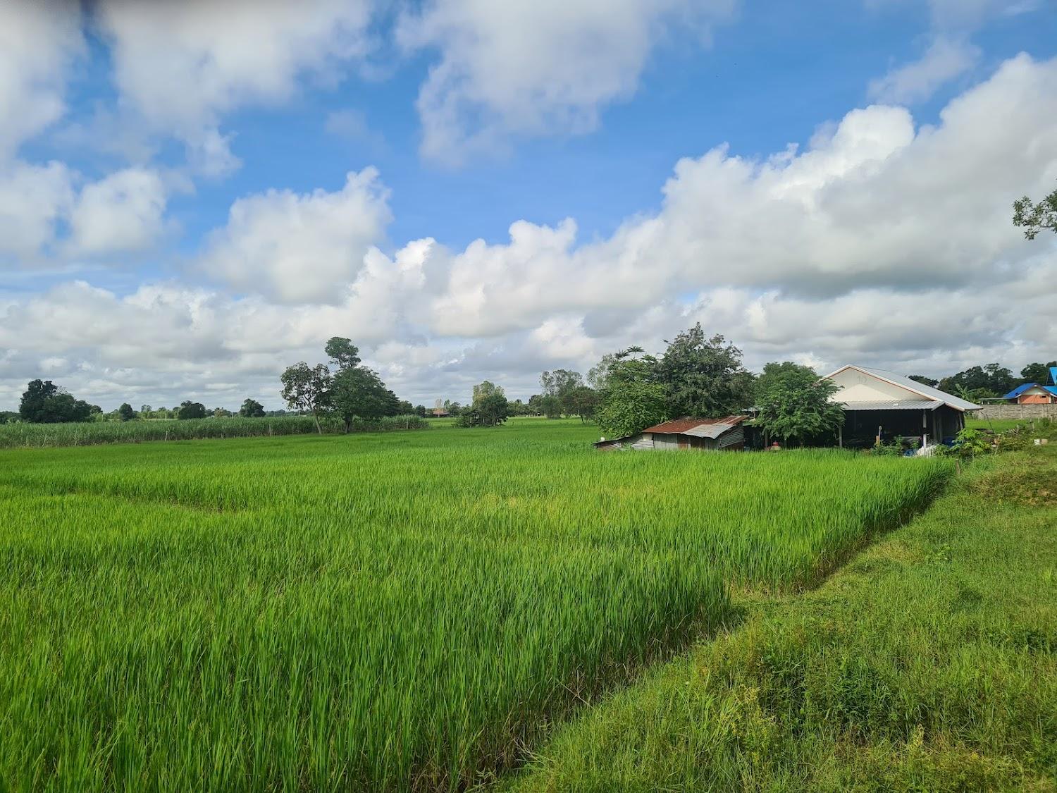 Cover Image for โรงแรมรีลา โฮเทล