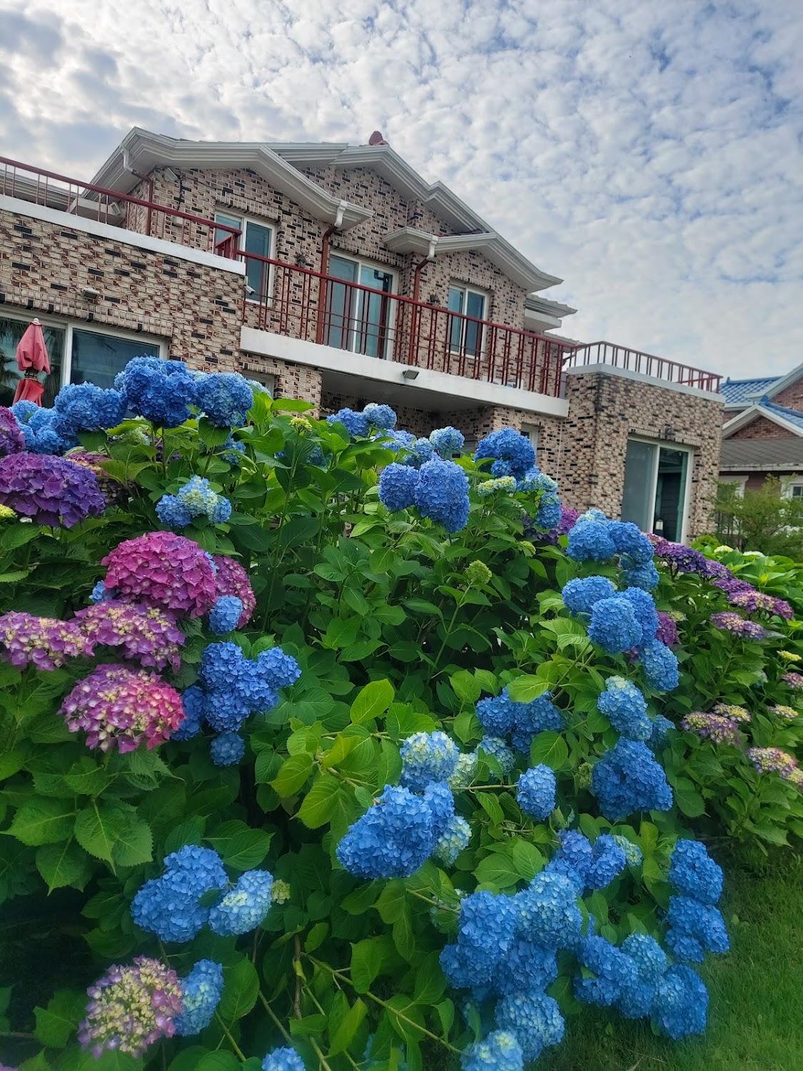 Cover Image for 제주16명독채올레하우스펜션