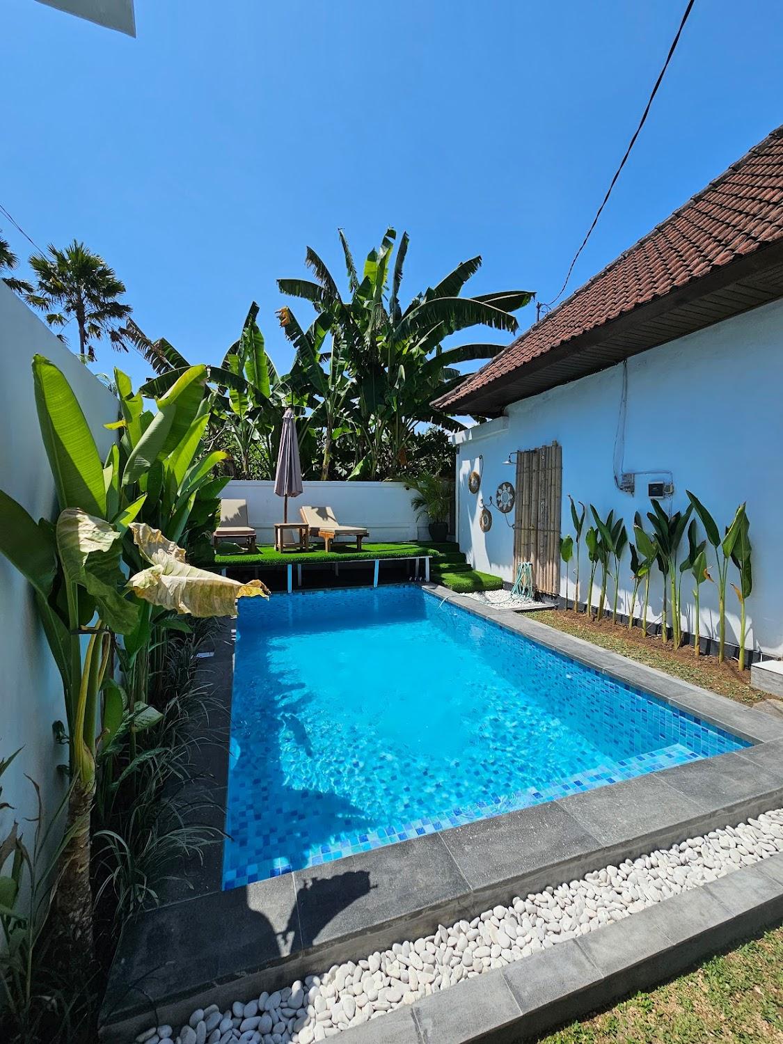 Cover Image for David Surf House