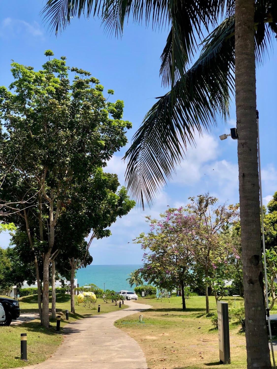 Cover Image for SEAnery Beach Resort