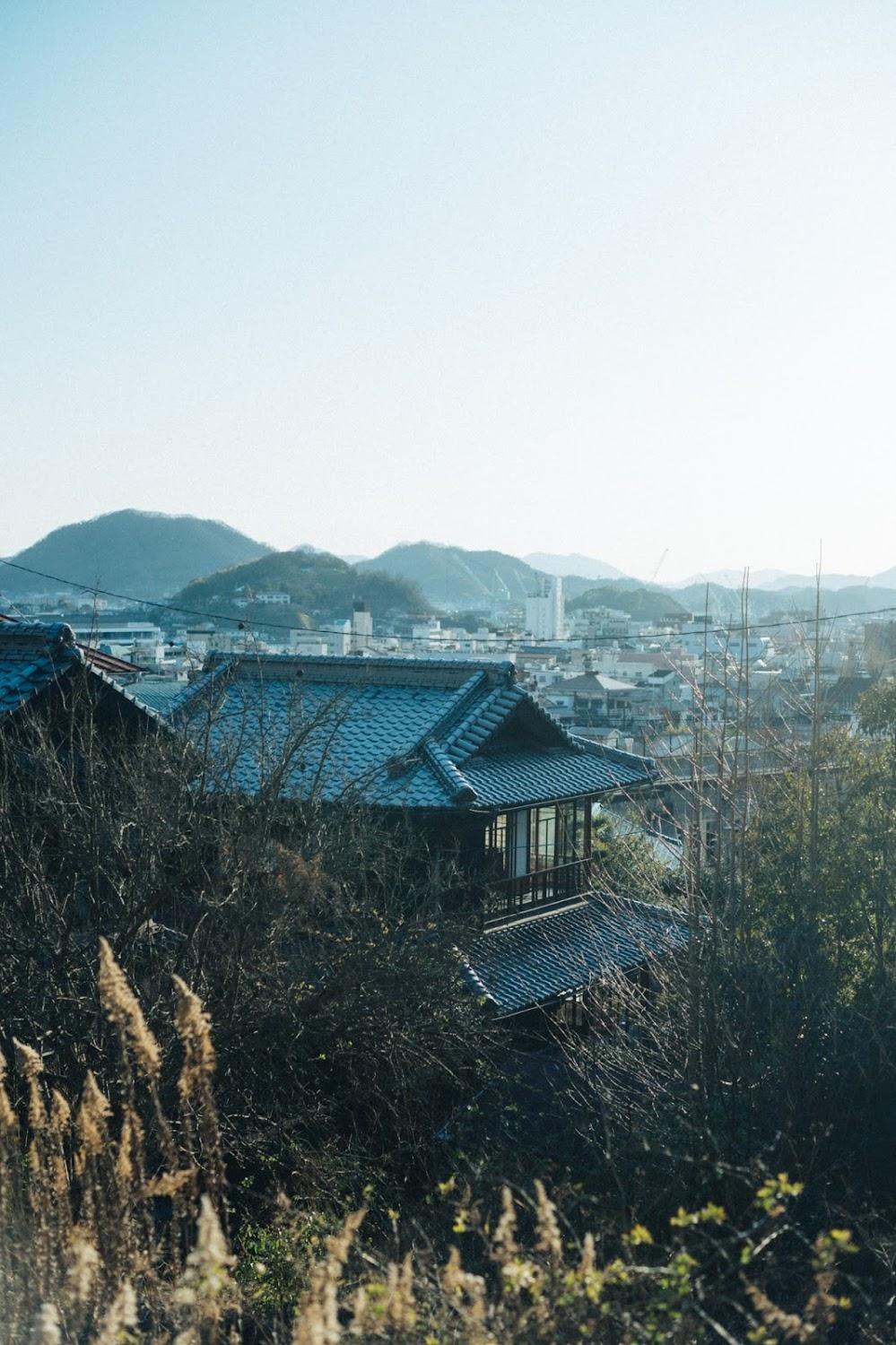 Cover Image for クジラ別館