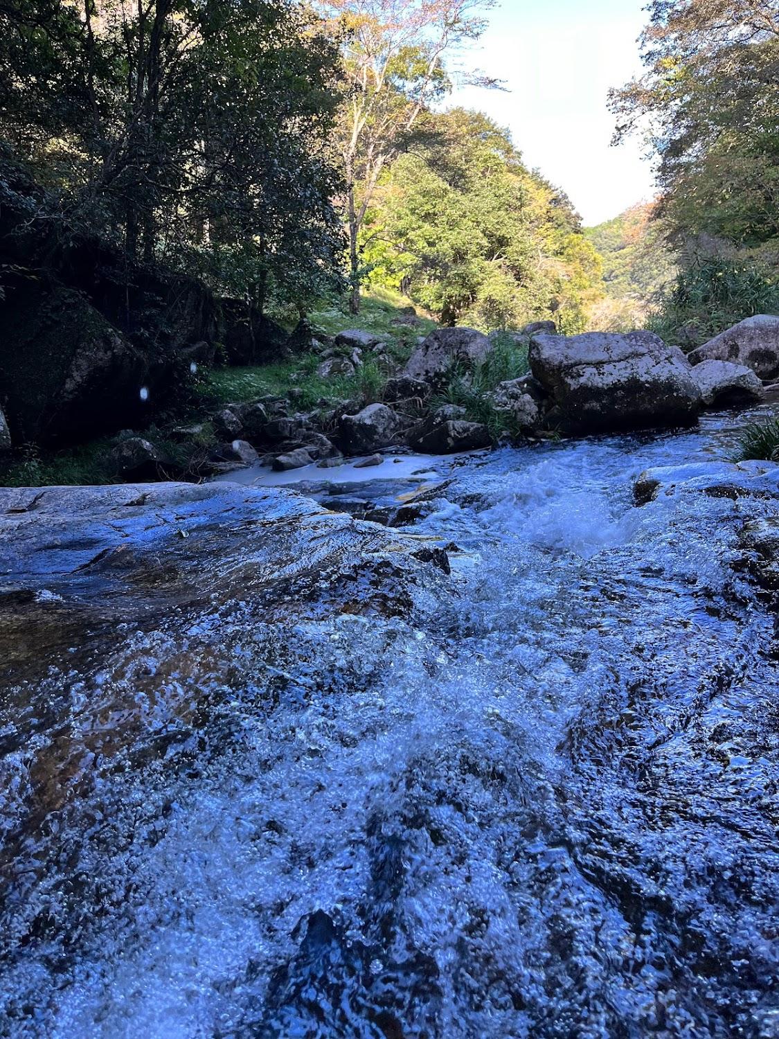 Cover Image for Narutaki Forest Park