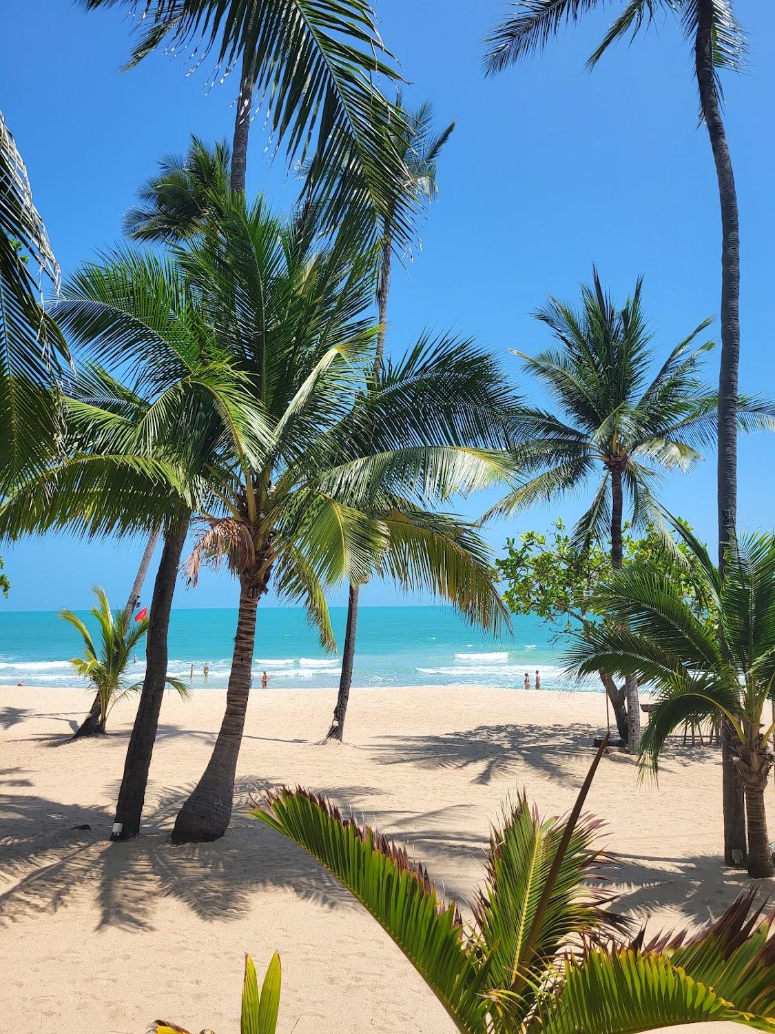 Cover Image for New Star Beach Resort
