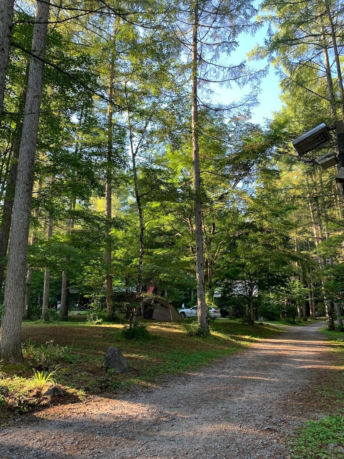 Cover Image for Hidashokawa Isshikinomori Camping Ground