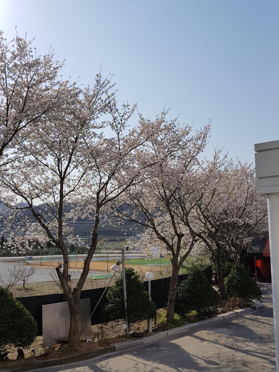 Cover Image for 리오모텔