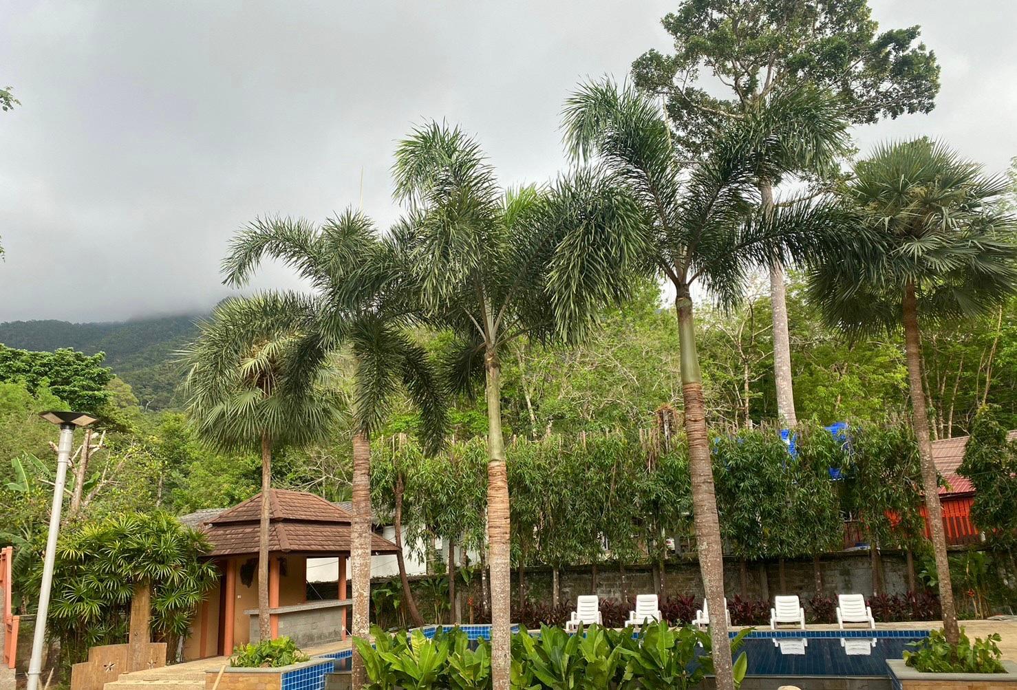 Cover Image for Du-Sila Hotel Kohchang