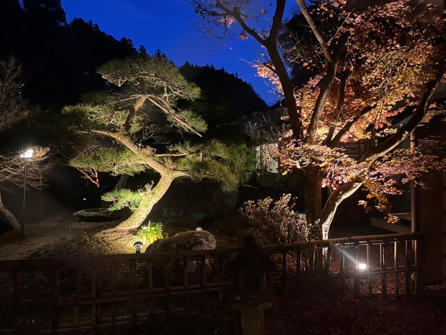 Cover Image for Keikoku Bettei Mochinoki