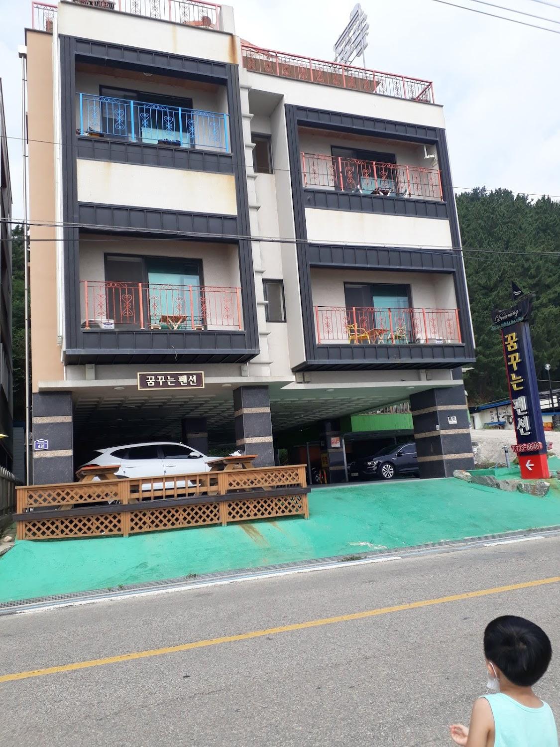 Cover Image for 꿈꾸는펜션앤모텔
