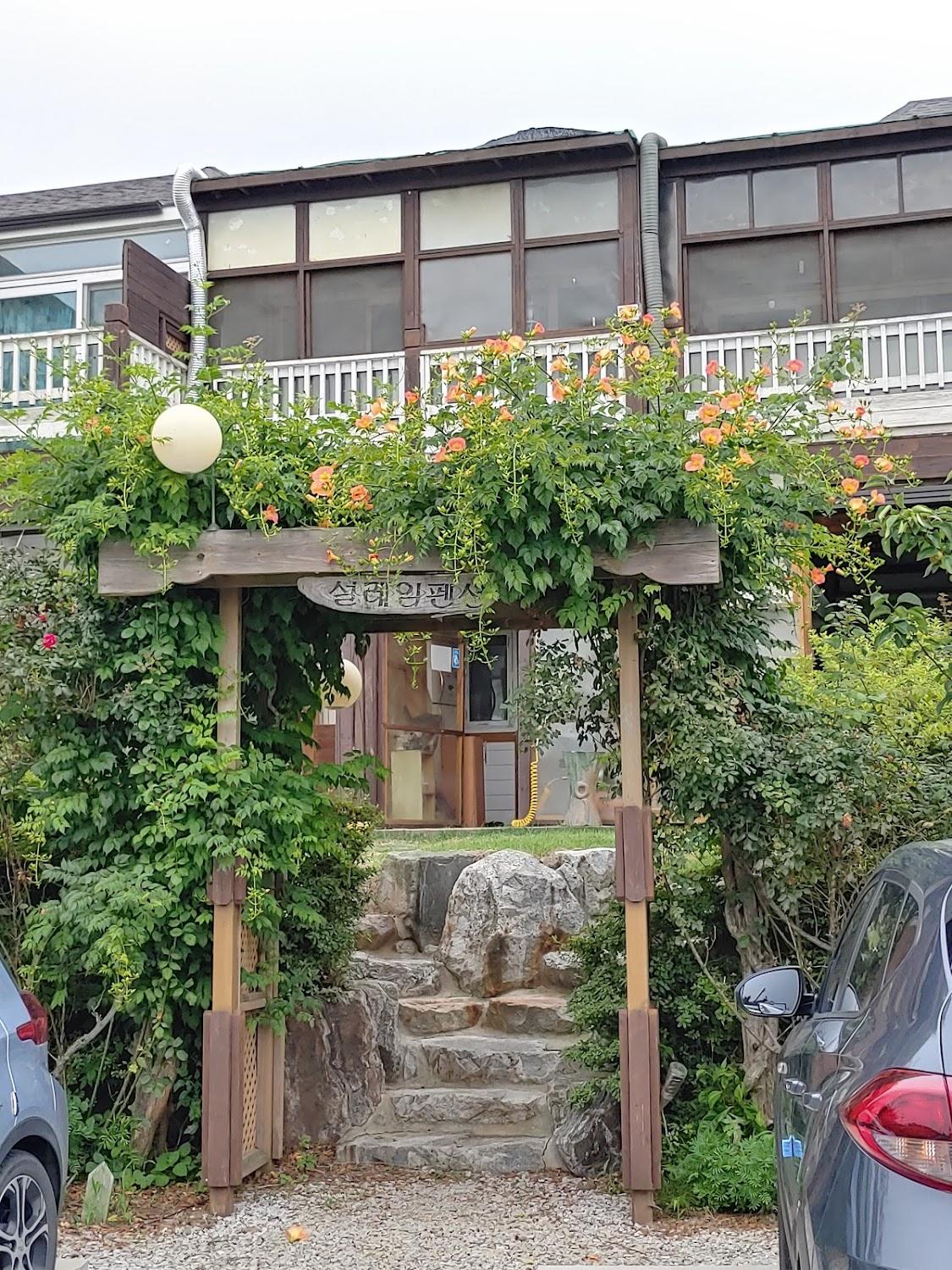 Cover Image for 설레임펜션