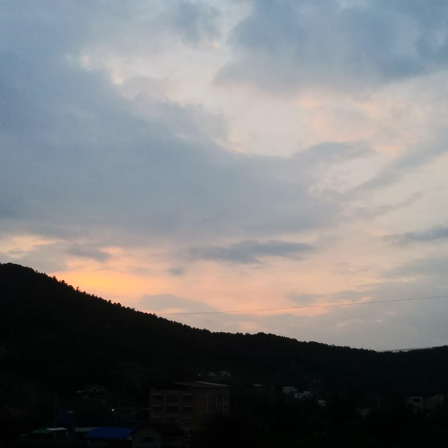 Cover Image for 꽃향기 펜션