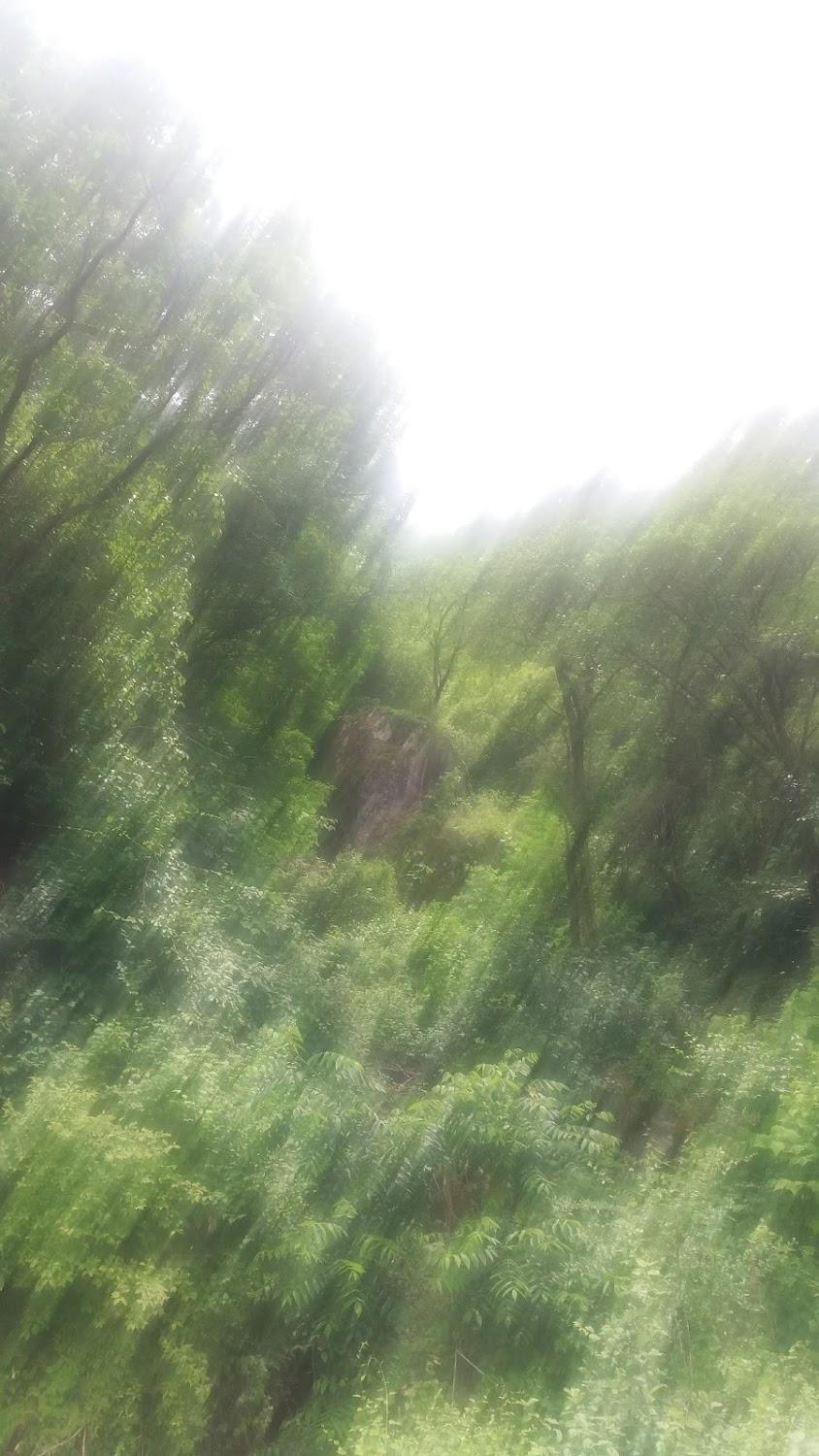 Cover Image for 숲속의작은집