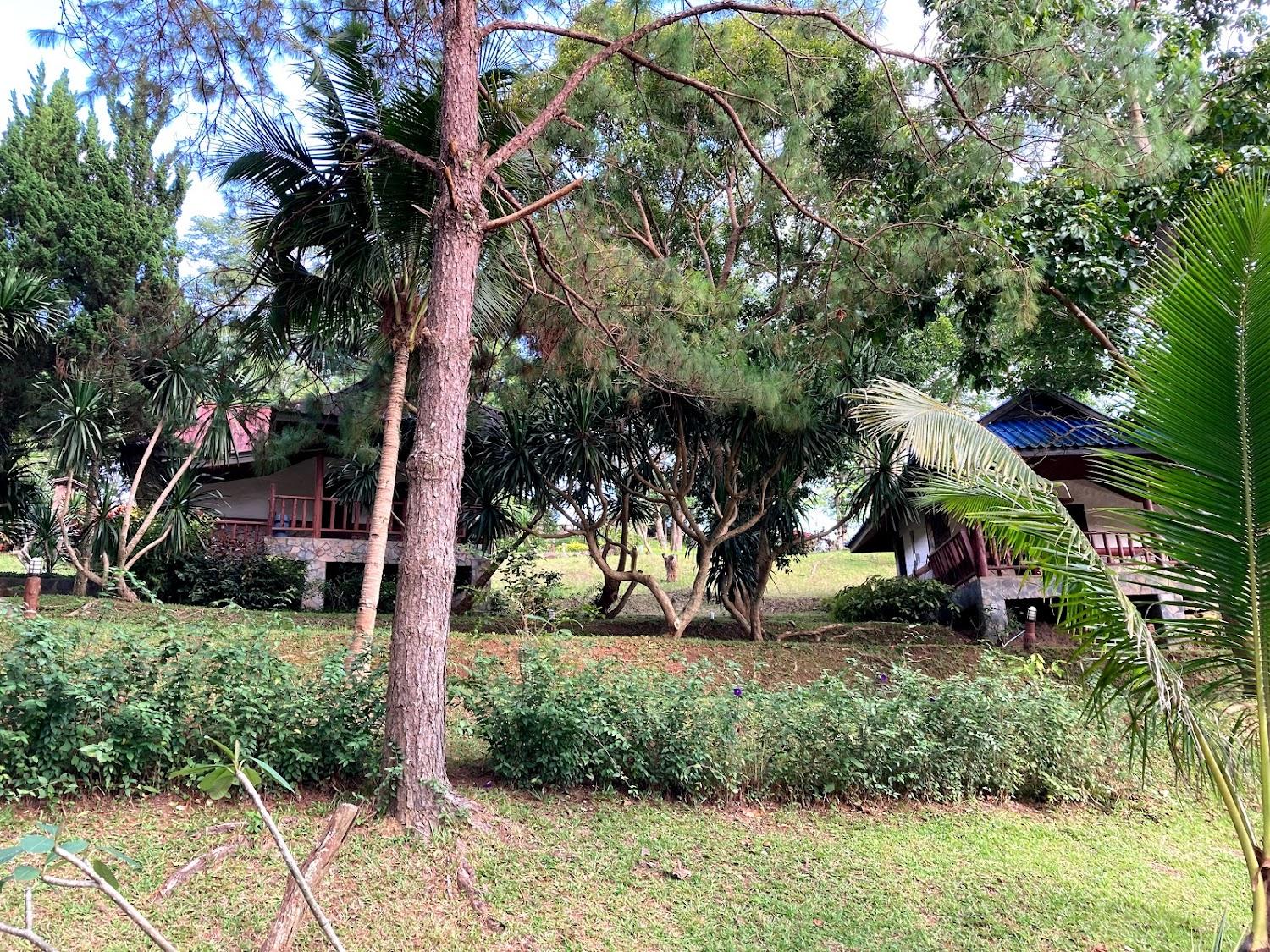Cover Image for Khao Kho Valley Resort