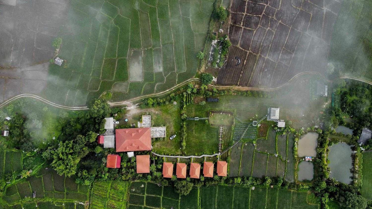 Cover Image for บ้านหลองข้าวเชียงดาววิว