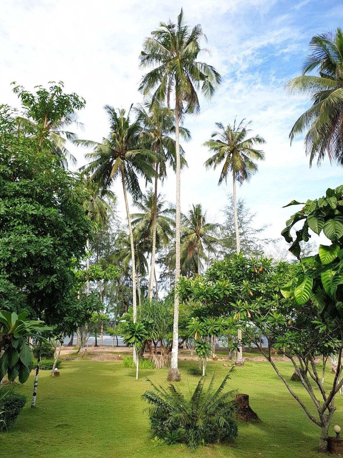 Cover Image for The Sunshine Resort Koh Kood