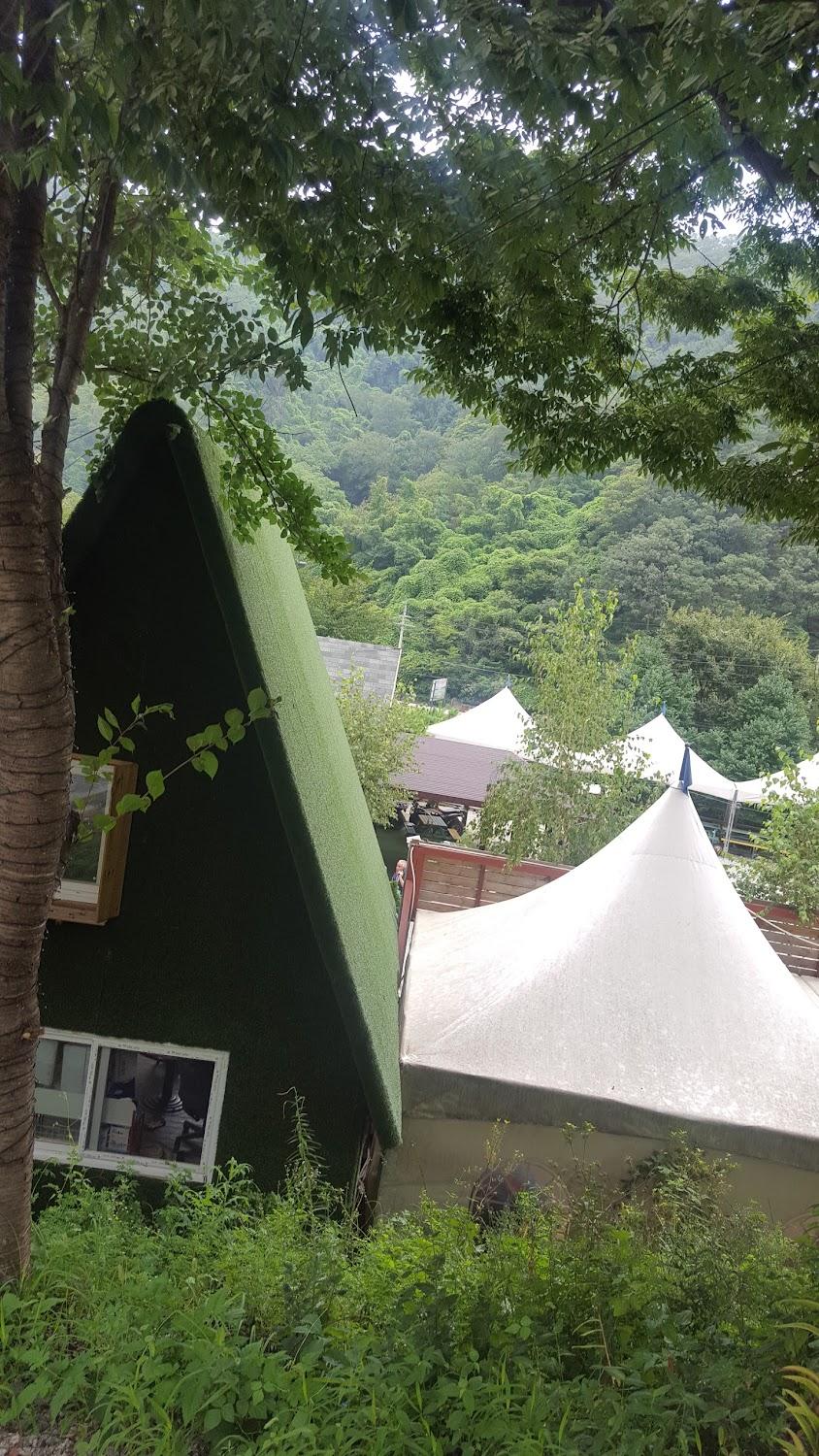 Cover Image for 남이섬리버파크