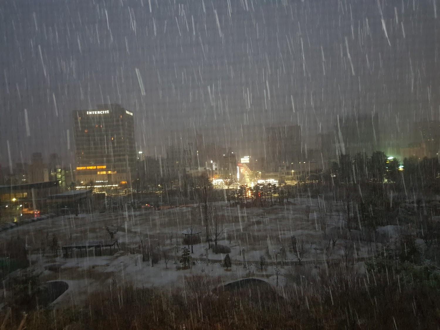 Cover Image for 오늘