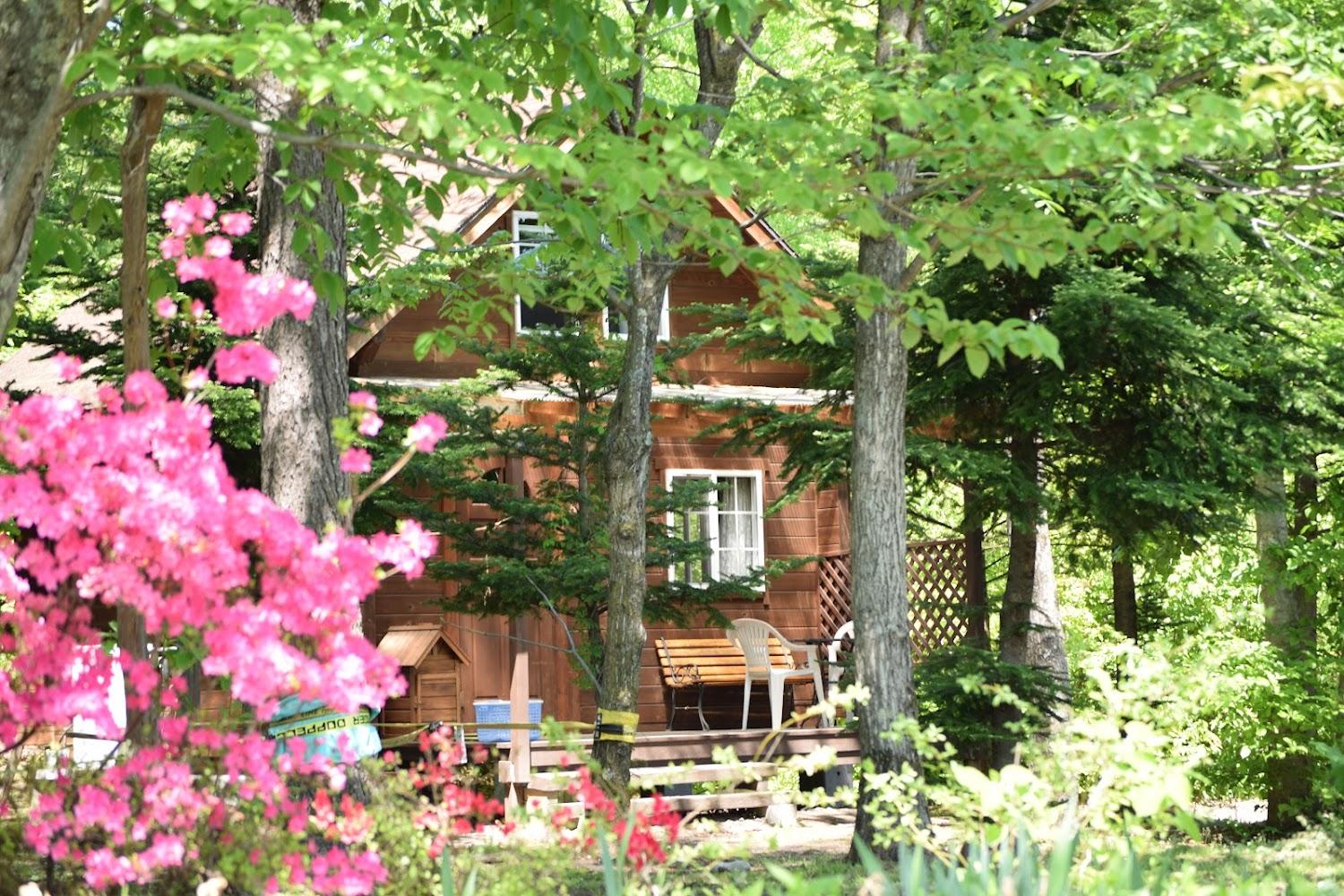 Cover Image for Log cottage free time