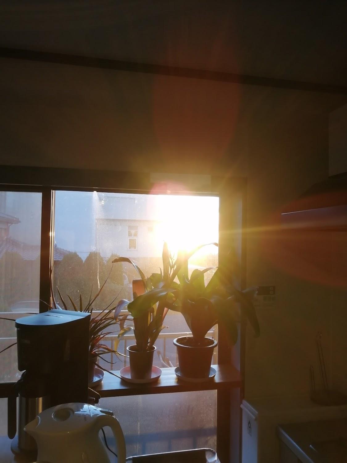 Cover Image for Kamakura Seaview Guesthouse Sun & Breeze