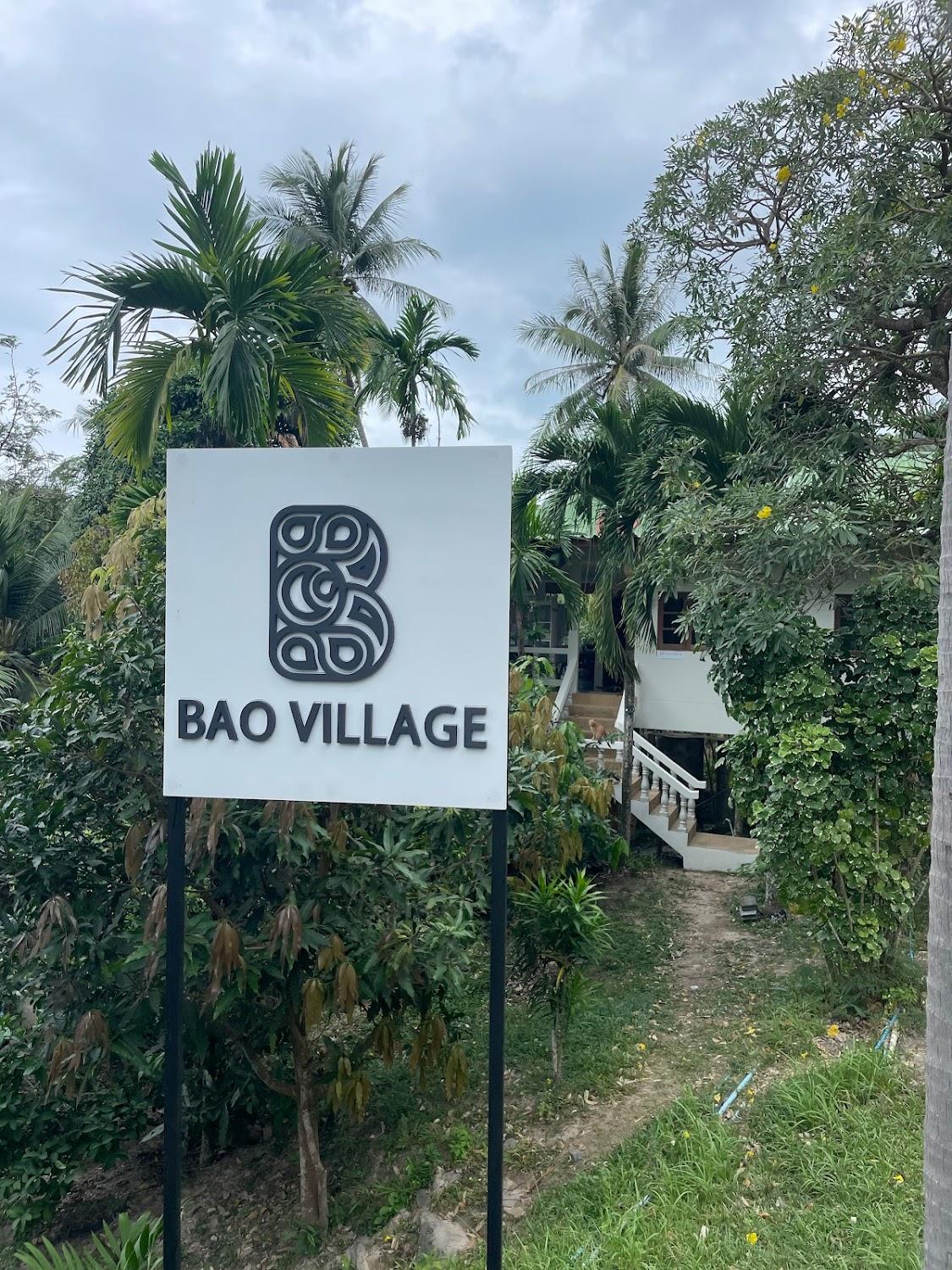 Cover Image for Bao Village