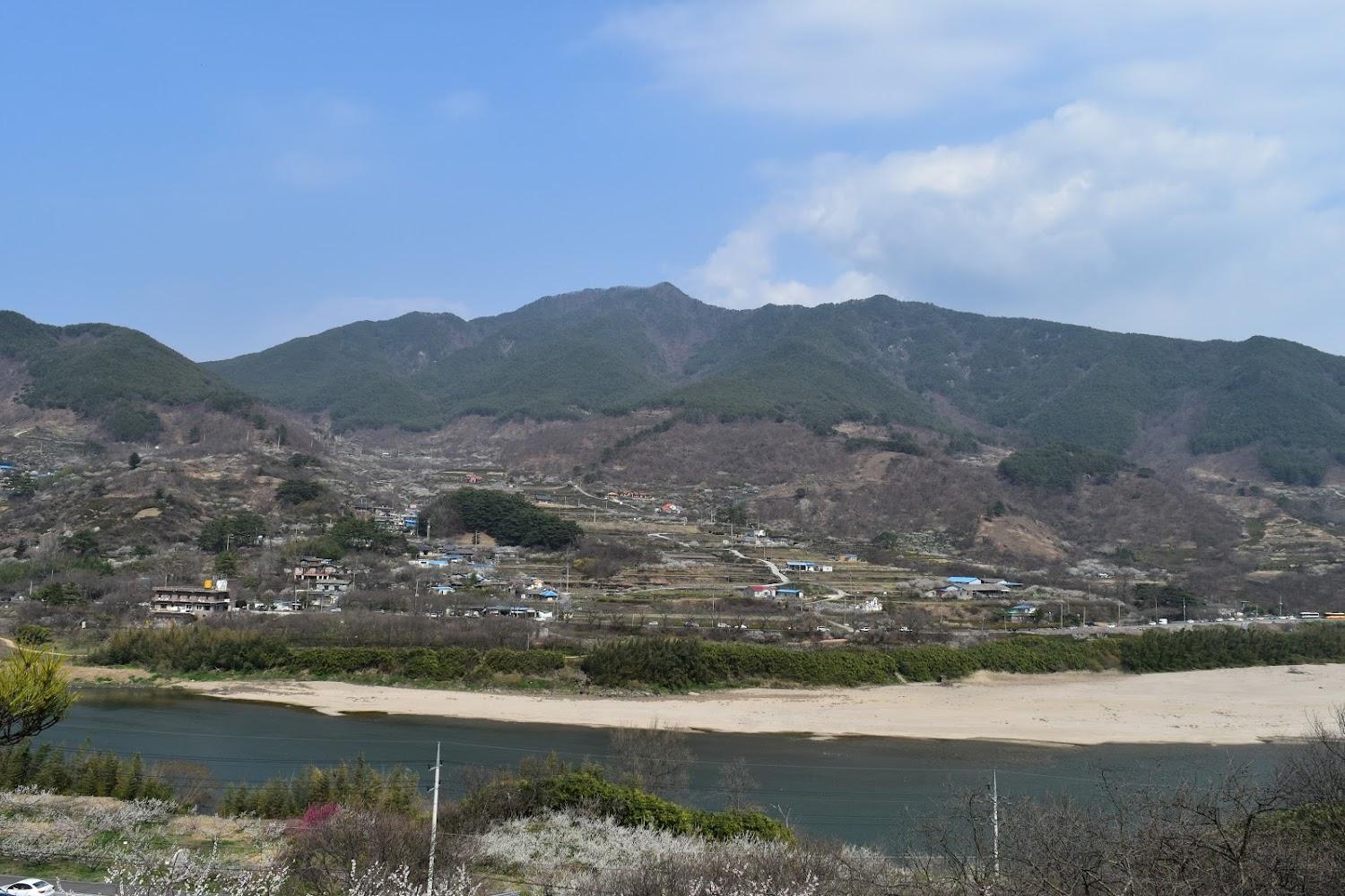 Cover Image for 매화랜드