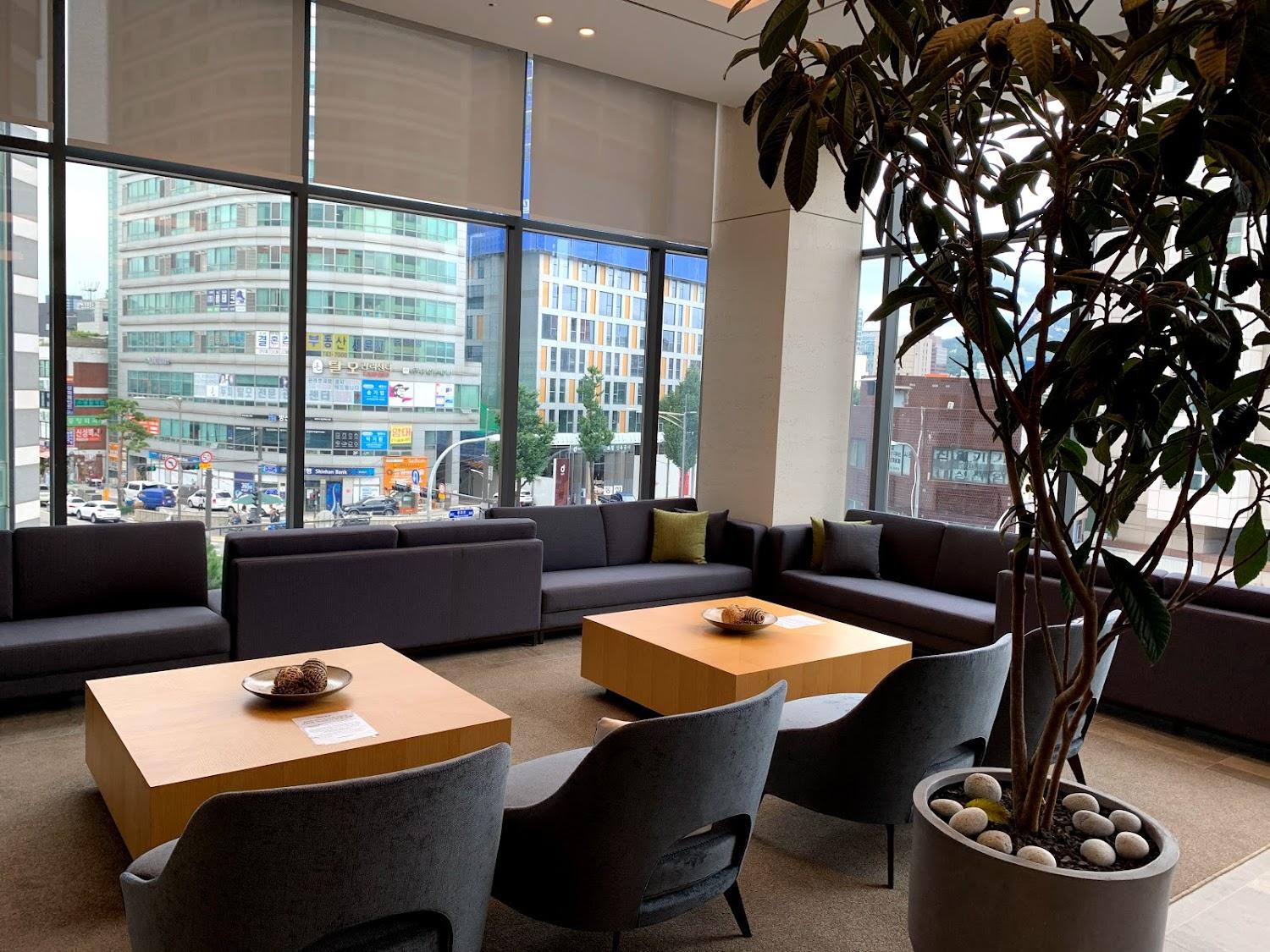 Cover Image for Nine Tree Hotel Dongdaemun