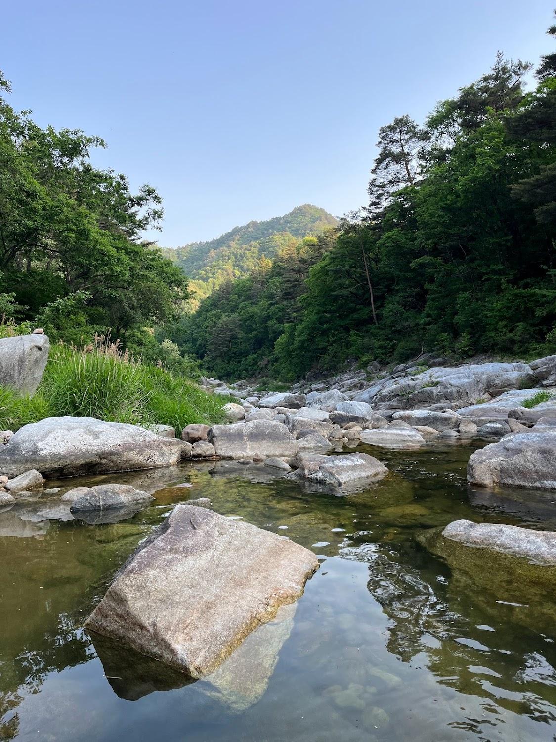 Cover Image for 석장골여행 펜션