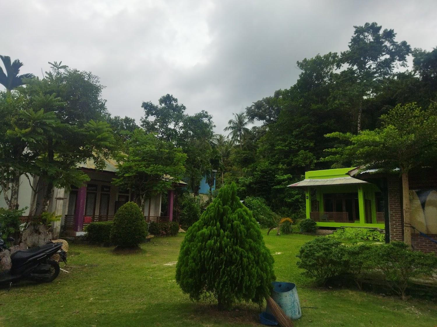 Cover Image for Panorama Seulako