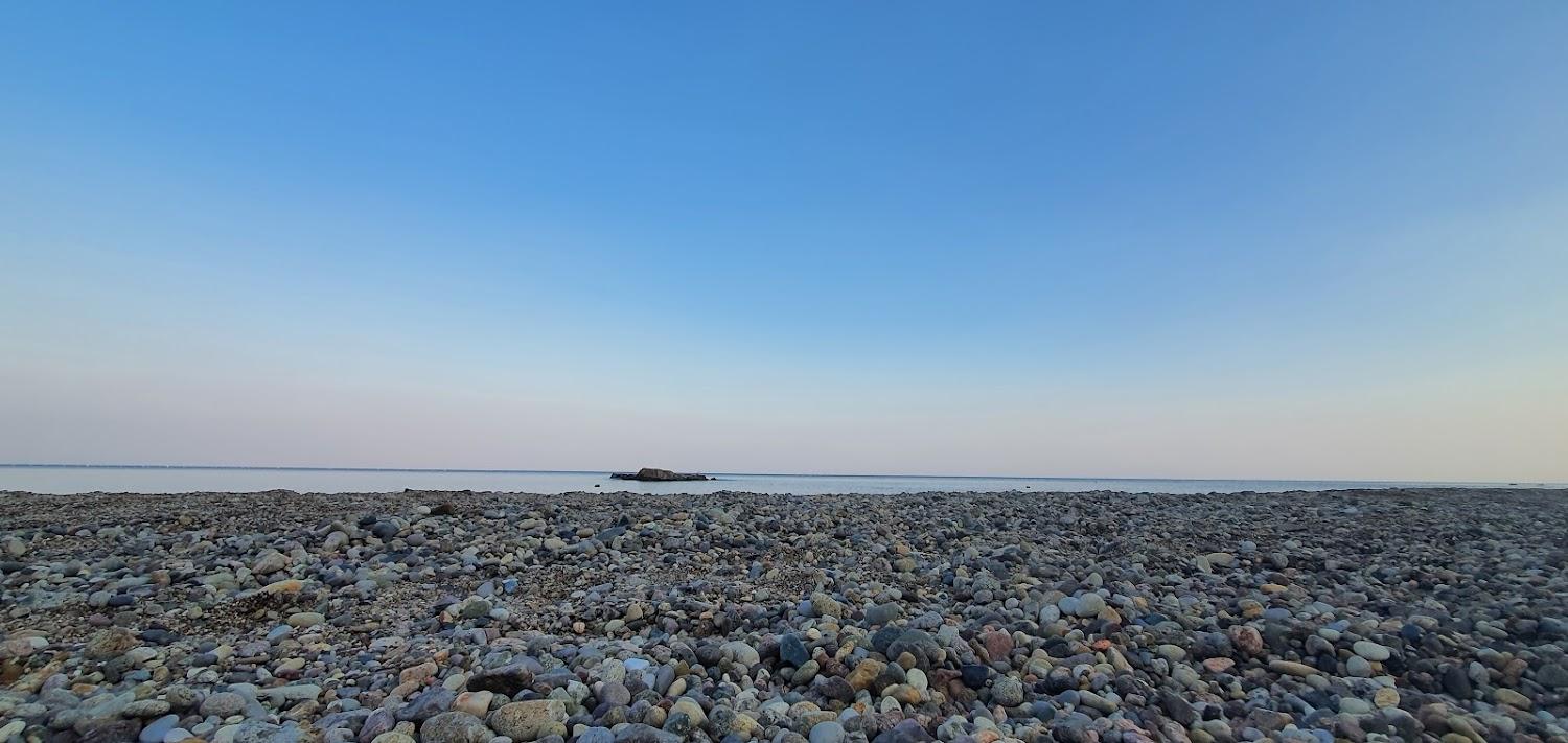 Cover Image for 블루오션관광펜션
