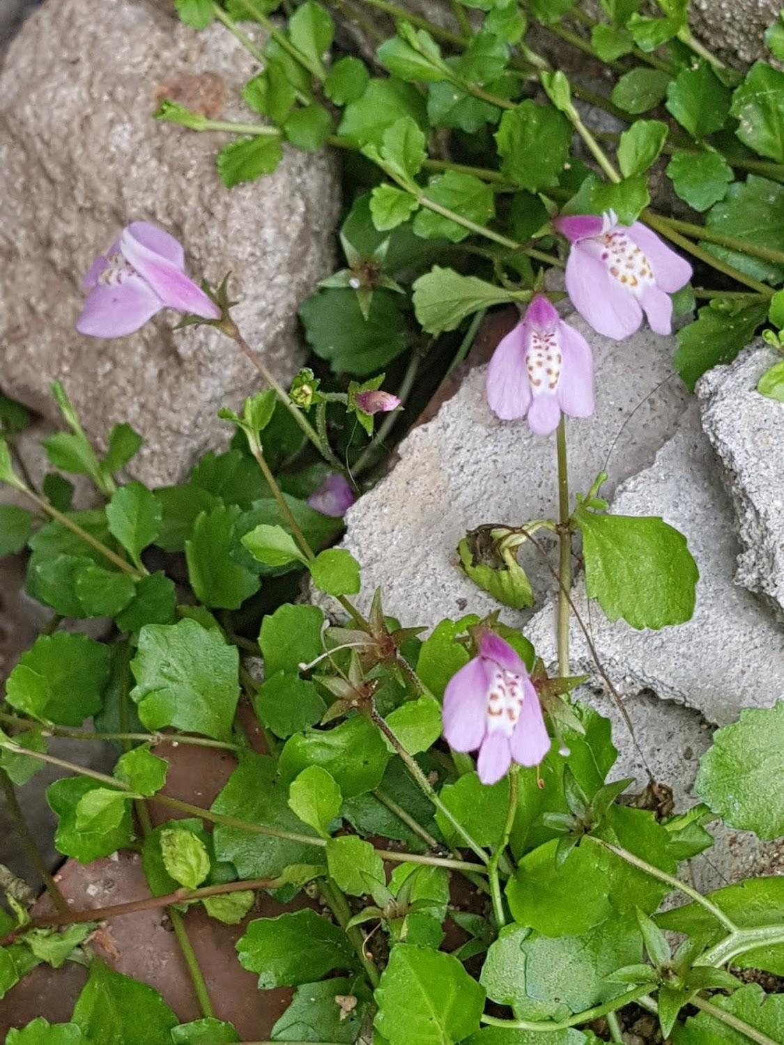 Cover Image for 공감한옥게스트하우스