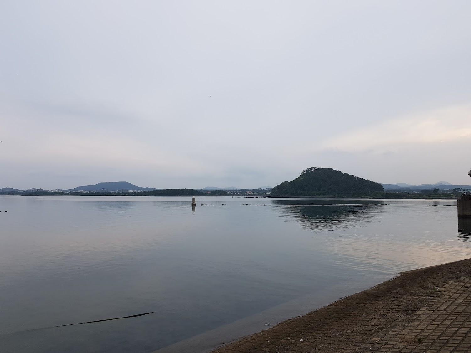 Cover Image for 해뜨는집