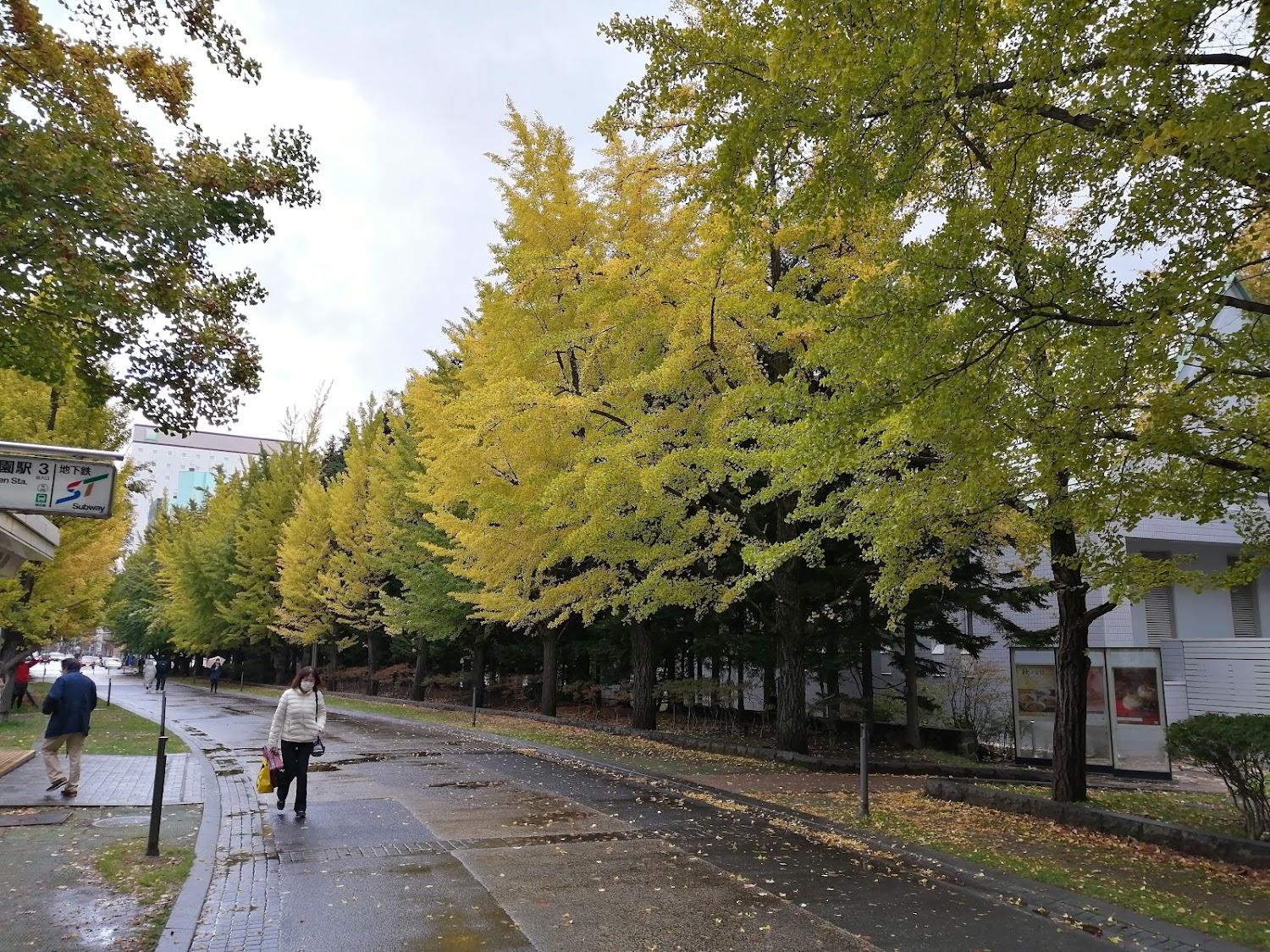 Cover Image for Sapporo Park Hotel