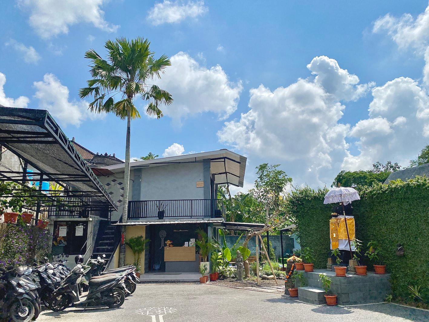 Cover Image for The Jungle Hostel Canggu