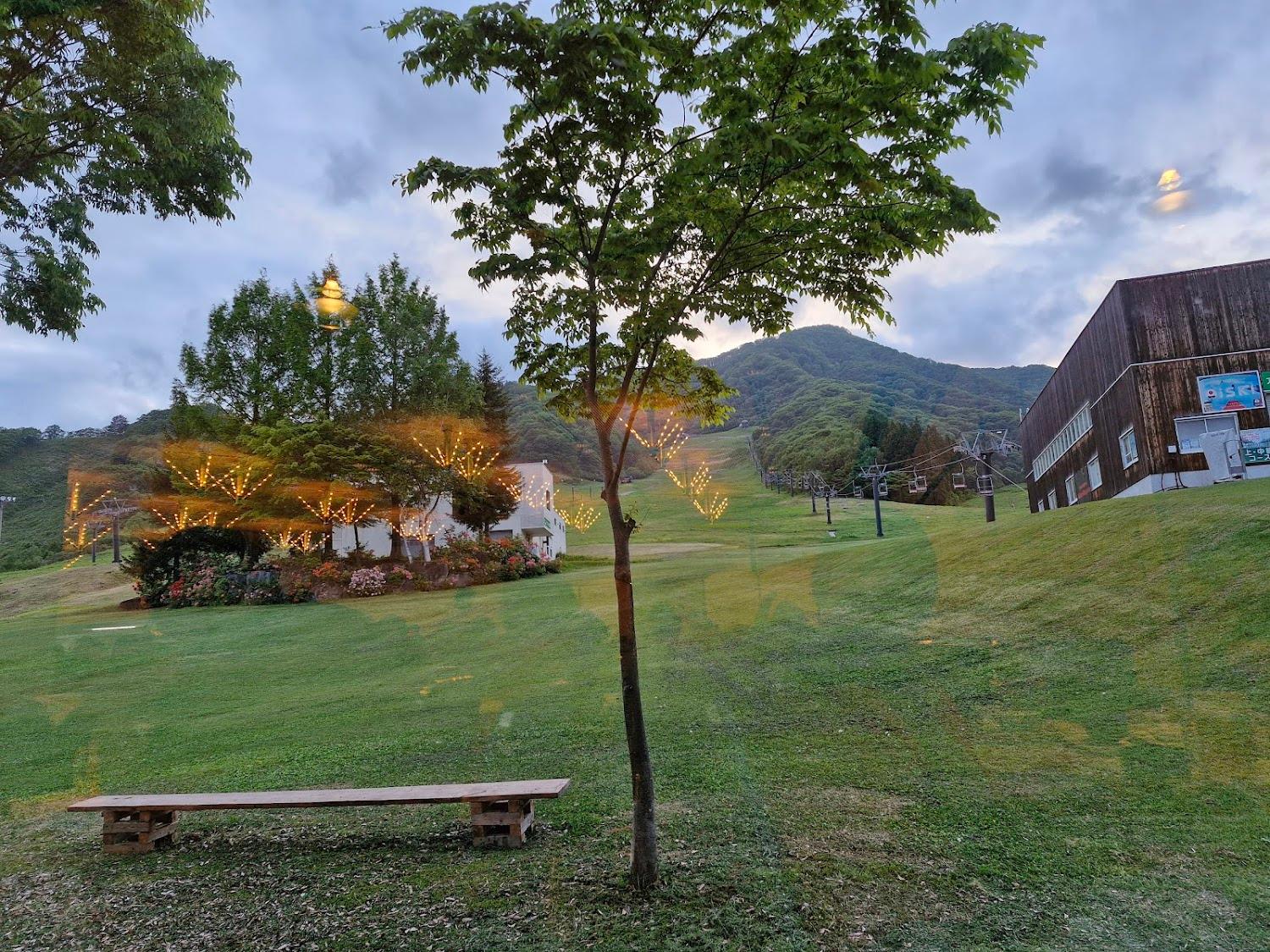 Cover Image for Hakuba Alps Hotel