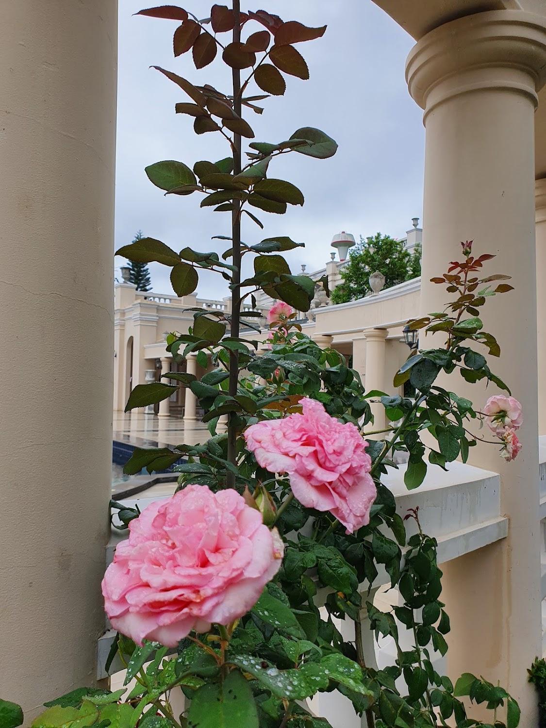 Cover Image for Kensington English Garden resort-khaoyai