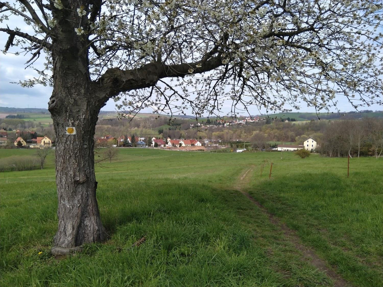 Cover Image for Pension Am Blauberg