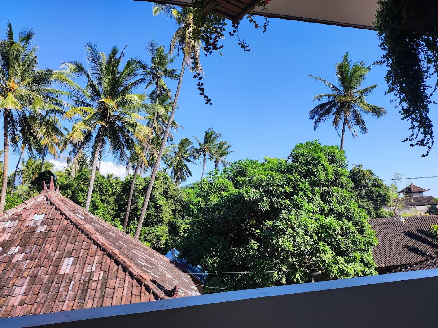 Cover Image for Kura Kura Divers Lodge