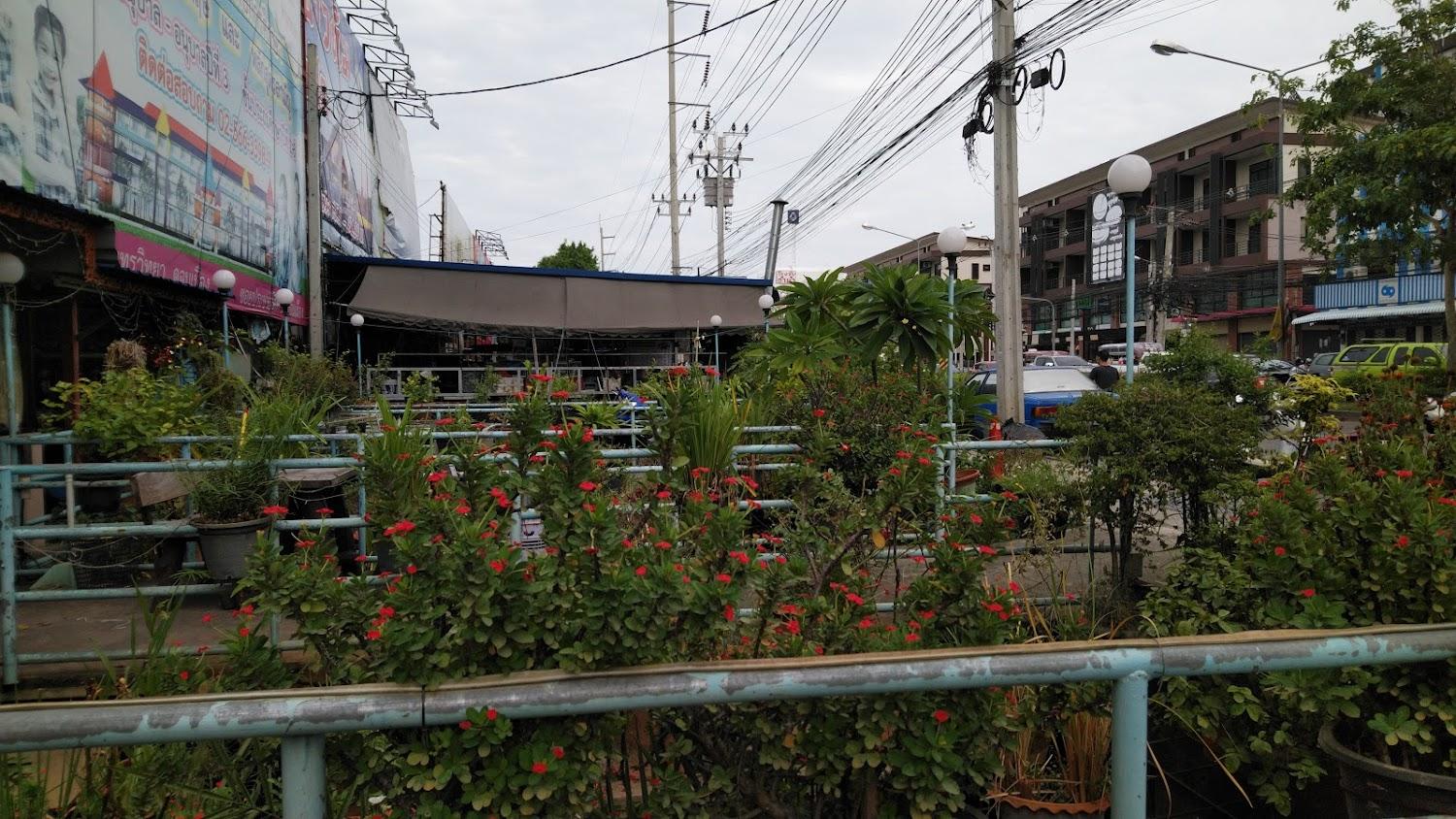 Cover Image for Phoom House